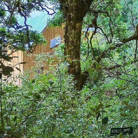 Cabana El Descanso #1, Macho Mora Mountain Lodge Alaska Εξωτερικό φωτογραφία